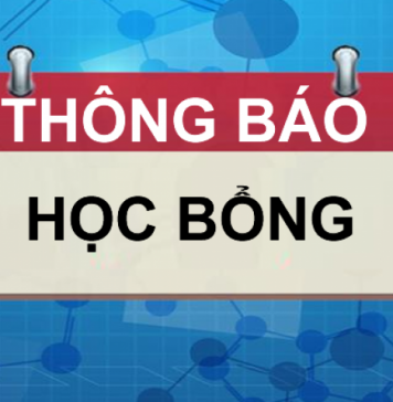 Không có ảnh